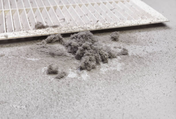 Best Air Duct Cleaning Near Me  in Normal, IL
