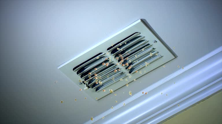Best Air Duct Cleaning Near Me  in Normal, IL